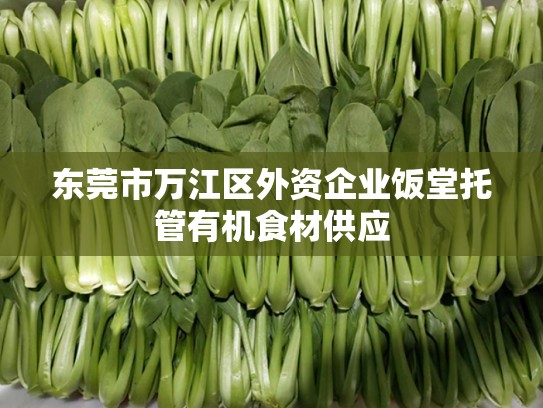 东莞市万江区外资企业饭堂托管有机食材供应