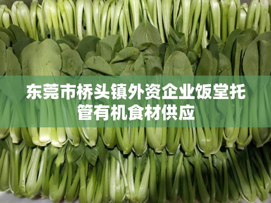 东莞市桥头镇外资企业饭堂托管有机食材供应