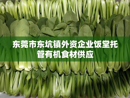 东莞市东坑镇外资企业饭堂托管有机食材供应