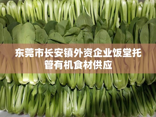 东莞市长安镇外资企业饭堂托管有机食材供应