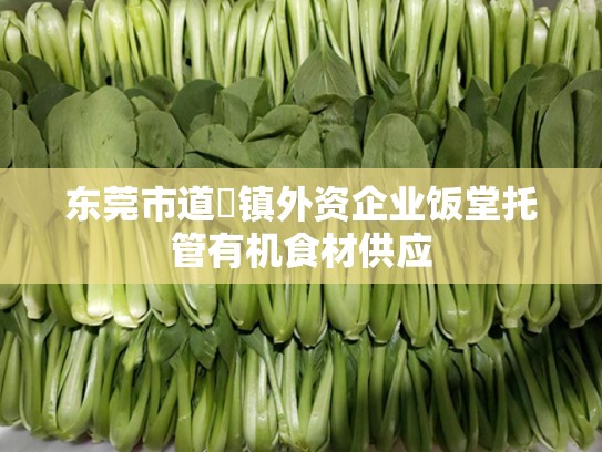 东莞市道滘镇外资企业饭堂托管有机食材供应
