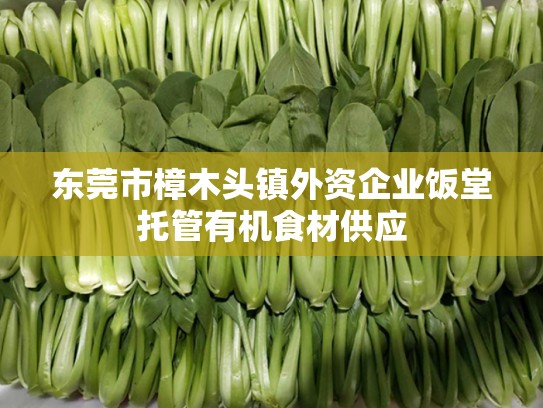 东莞市樟木头镇外资企业饭堂托管有机食材供应