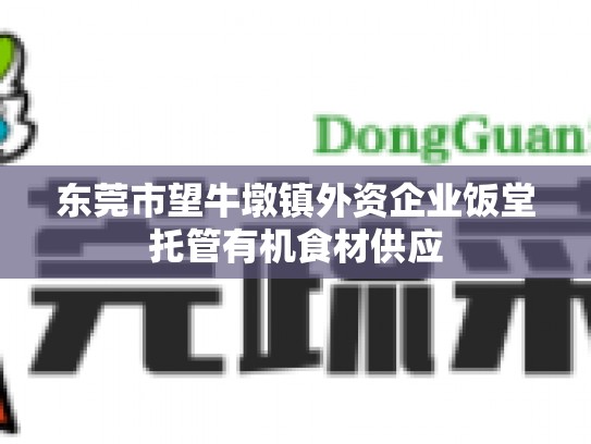 东莞市望牛墩镇外资企业饭堂托管有机食材供应