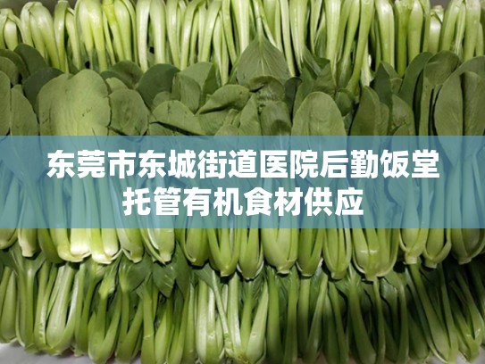 东莞市东城街道医院后勤饭堂托管有机食材供应