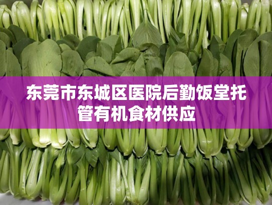 东莞市东城区医院后勤饭堂托管有机食材供应
