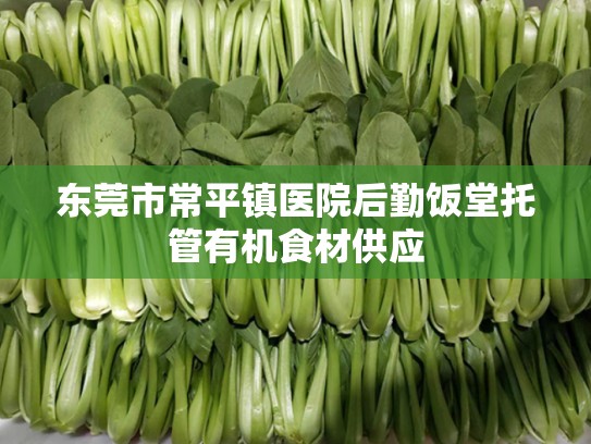 东莞市常平镇医院后勤饭堂托管有机食材供应