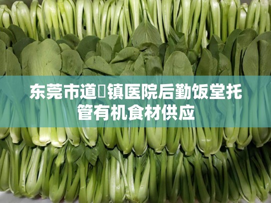 东莞市道滘镇医院后勤饭堂托管有机食材供应