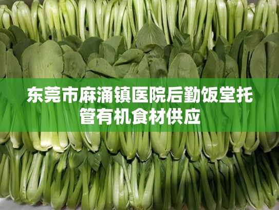 东莞市麻涌镇医院后勤饭堂托管有机食材供应
