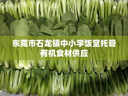 东莞市石龙镇中小学饭堂托管有机食材供应