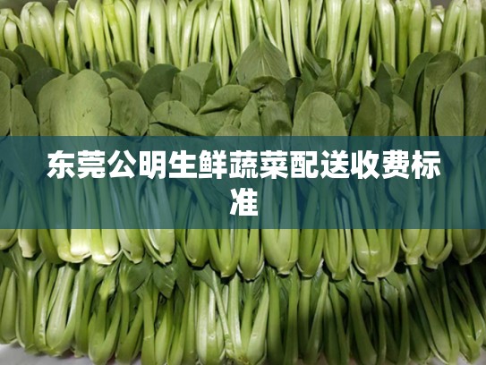 东莞公明生鲜蔬菜配送收费标准