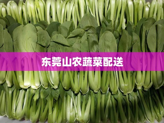 东莞山农蔬菜配送
