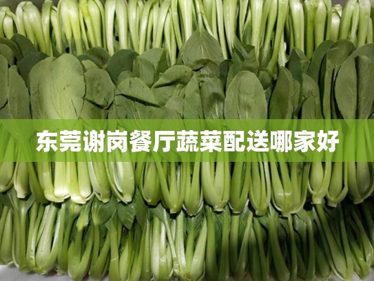 东莞谢岗餐厅蔬菜配送哪家好