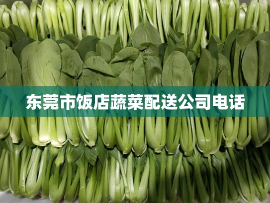 东莞市饭店蔬菜配送公司电话