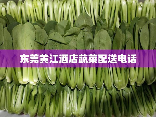 东莞黄江酒店蔬菜配送电话