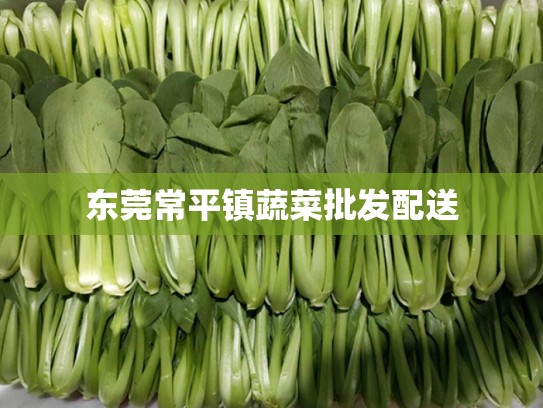 东莞常平镇蔬菜批发配送