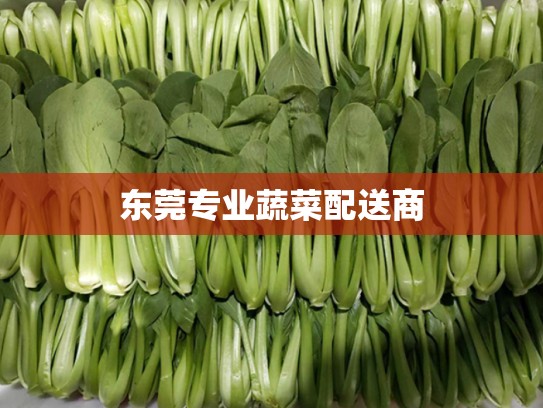 东莞专业蔬菜配送商