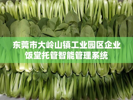 东莞市大岭山镇工业园区企业饭堂托管智能管理系统