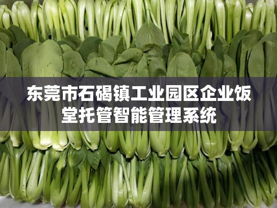 东莞市石碣镇工业园区企业饭堂托管智能管理系统