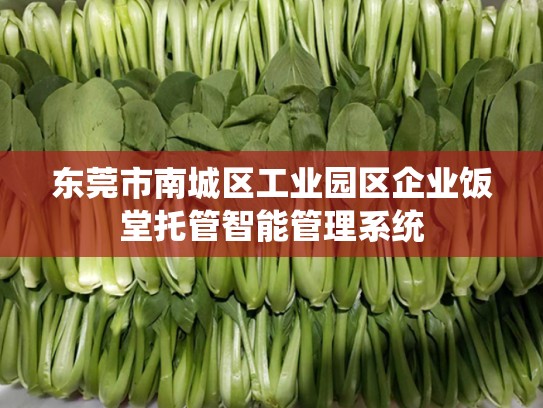 东莞市南城区工业园区企业饭堂托管智能管理系统