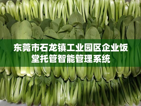 东莞市石龙镇工业园区企业饭堂托管智能管理系统