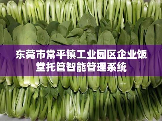 东莞市常平镇工业园区企业饭堂托管智能管理系统