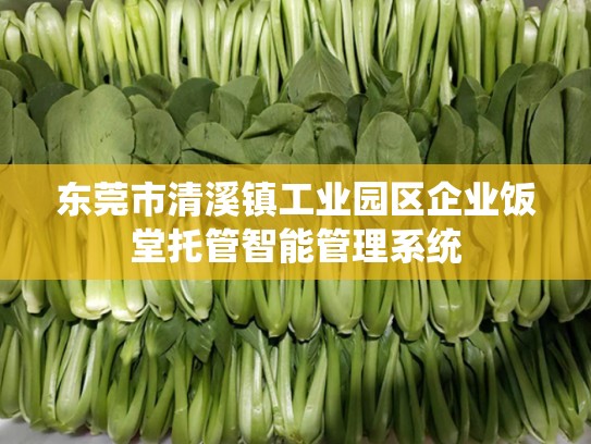 东莞市清溪镇工业园区企业饭堂托管智能管理系统