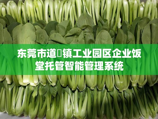 东莞市道滘镇工业园区企业饭堂托管智能管理系统