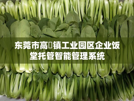 东莞市高埗镇工业园区企业饭堂托管智能管理系统