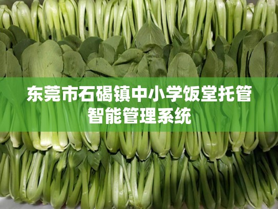东莞市石碣镇中小学饭堂托管智能管理系统