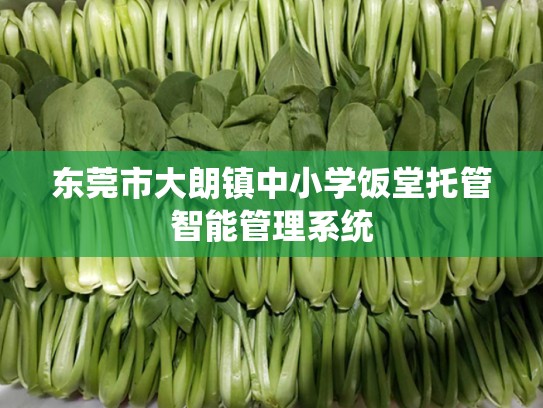 东莞市大朗镇中小学饭堂托管智能管理系统