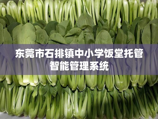 东莞市石排镇中小学饭堂托管智能管理系统