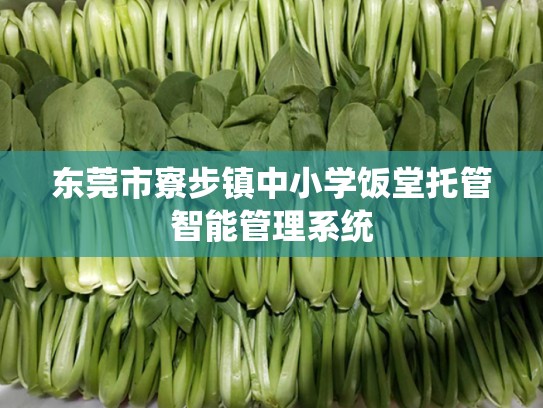 东莞市寮步镇中小学饭堂托管智能管理系统
