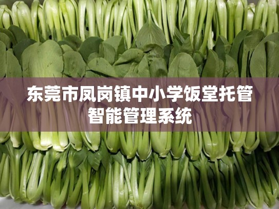 东莞市凤岗镇中小学饭堂托管智能管理系统