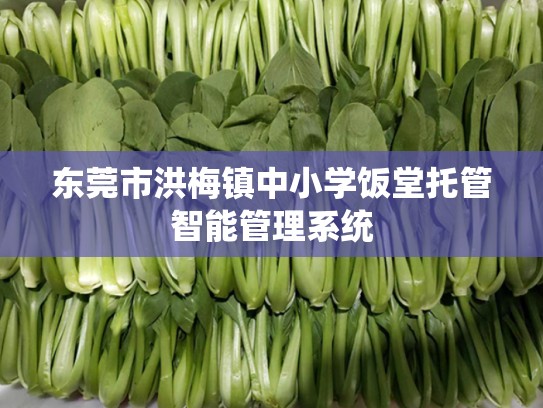 东莞市洪梅镇中小学饭堂托管智能管理系统
