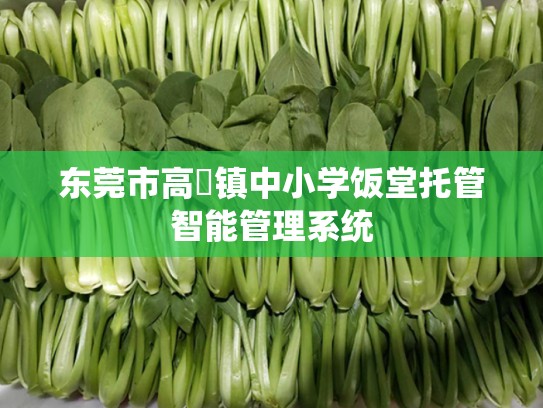 东莞市高埗镇中小学饭堂托管智能管理系统