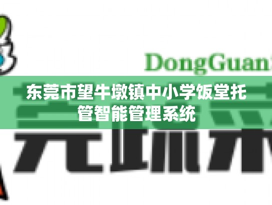 东莞市望牛墩镇中小学饭堂托管智能管理系统