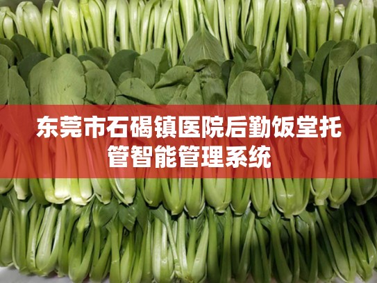 东莞市石碣镇医院后勤饭堂托管智能管理系统