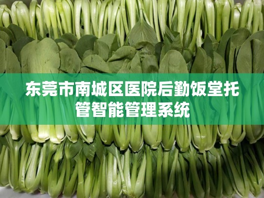 东莞市南城区医院后勤饭堂托管智能管理系统