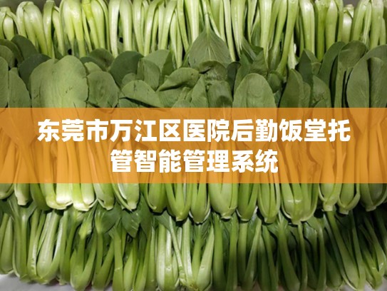 东莞市万江区医院后勤饭堂托管智能管理系统