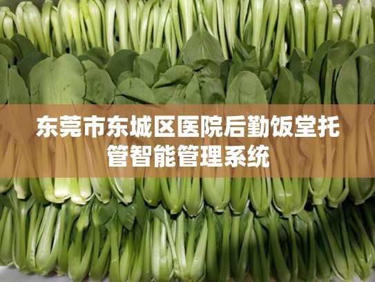 东莞市东城区医院后勤饭堂托管智能管理系统