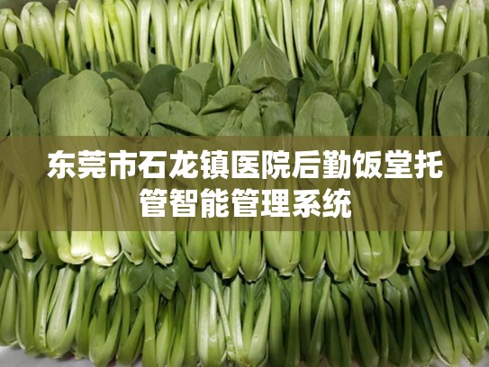东莞市石龙镇医院后勤饭堂托管智能管理系统