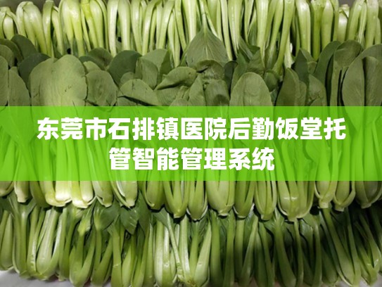 东莞市石排镇医院后勤饭堂托管智能管理系统