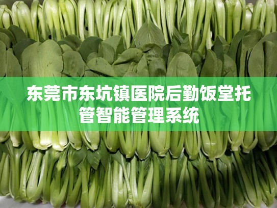 东莞市东坑镇医院后勤饭堂托管智能管理系统