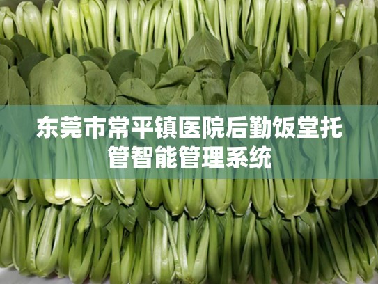 东莞市常平镇医院后勤饭堂托管智能管理系统
