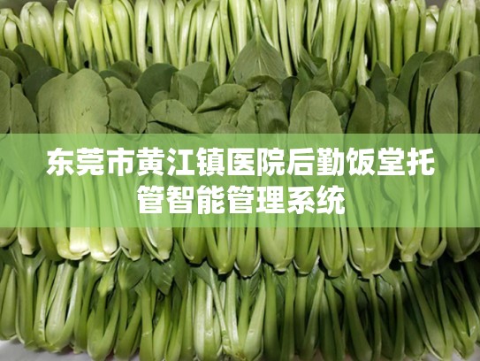东莞市黄江镇医院后勤饭堂托管智能管理系统