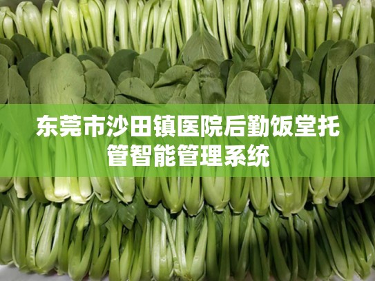 东莞市沙田镇医院后勤饭堂托管智能管理系统