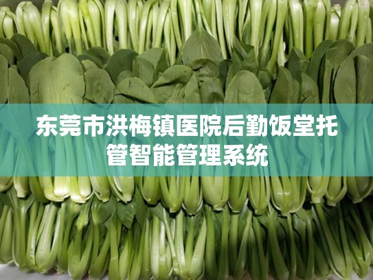 东莞市洪梅镇医院后勤饭堂托管智能管理系统