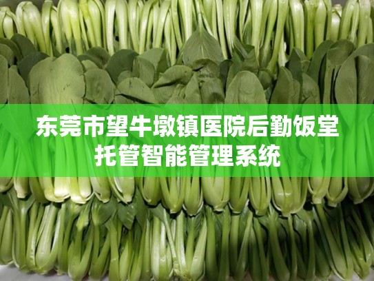 东莞市望牛墩镇医院后勤饭堂托管智能管理系统