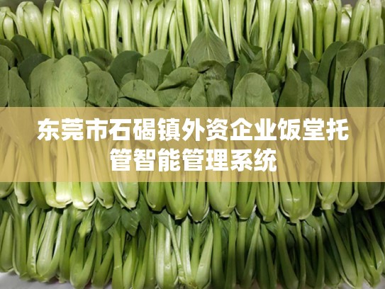 东莞市石碣镇外资企业饭堂托管智能管理系统