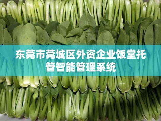 东莞市莞城区外资企业饭堂托管智能管理系统